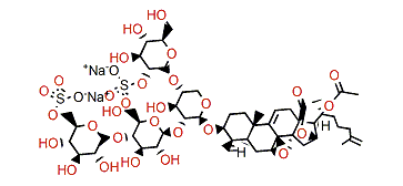 Psolusoside B2